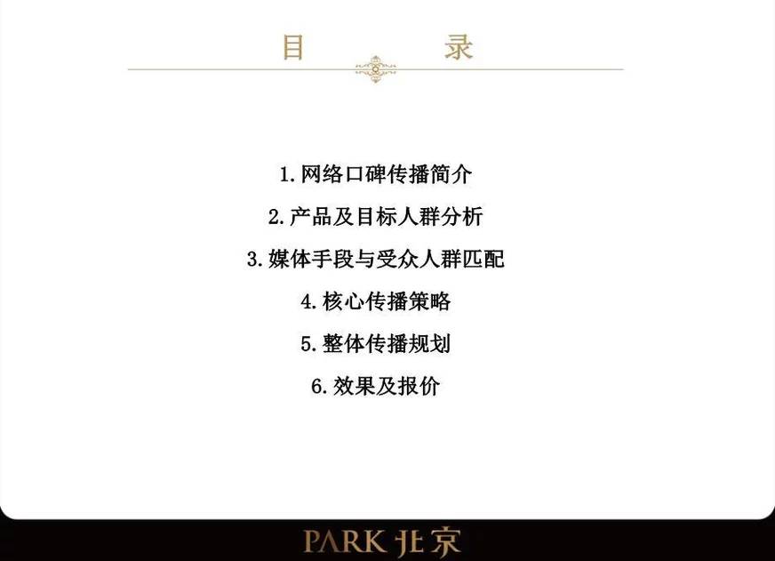 网络互动营销推广策划案2010ppt课件