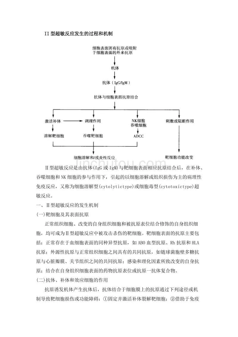 II型超敏反应发生的过程和机制 - 360文库